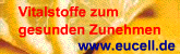 Vitalstoffe zum gesunden Zunehmen