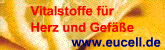 Vitalstoffe für Herz und Gefäße