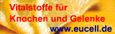 Vitalstoffe für Knochen und Gelenke